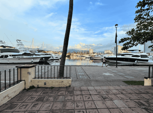 Local Comercial en Venta en Marina Vallarta, Puerto Vallarta